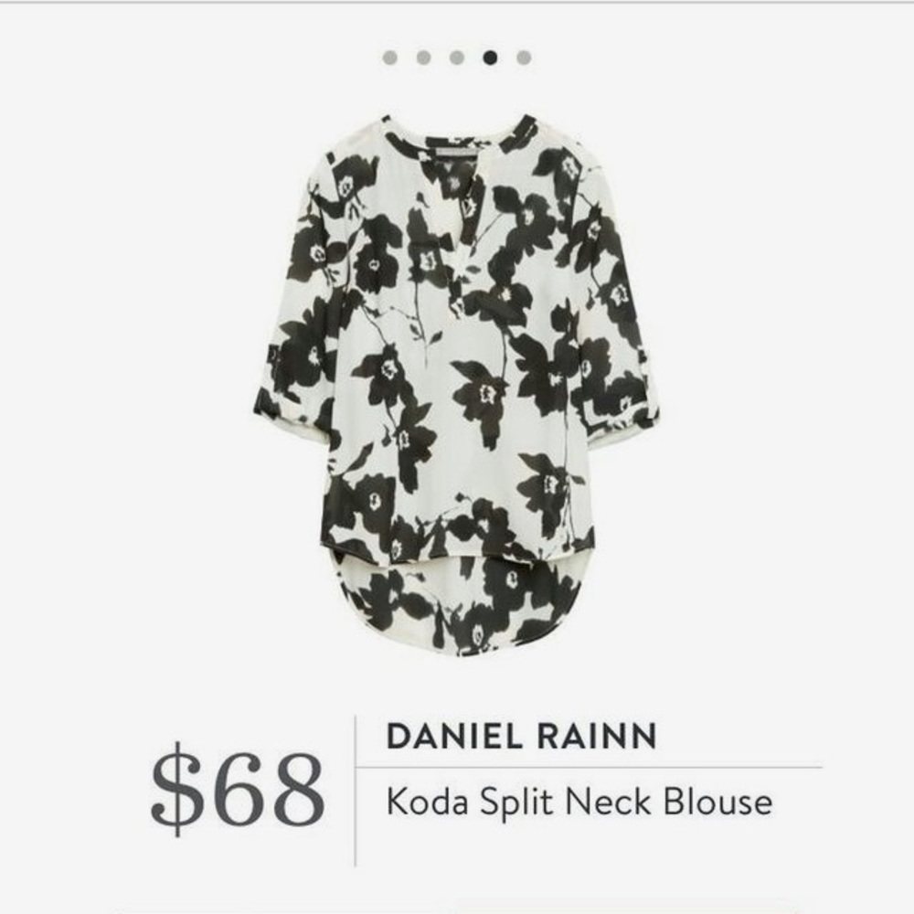 Daniel Rainn / Stitch Fix Koda V neck blouse